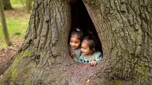Children looking out from a tree hole at Croome, Worcestershire